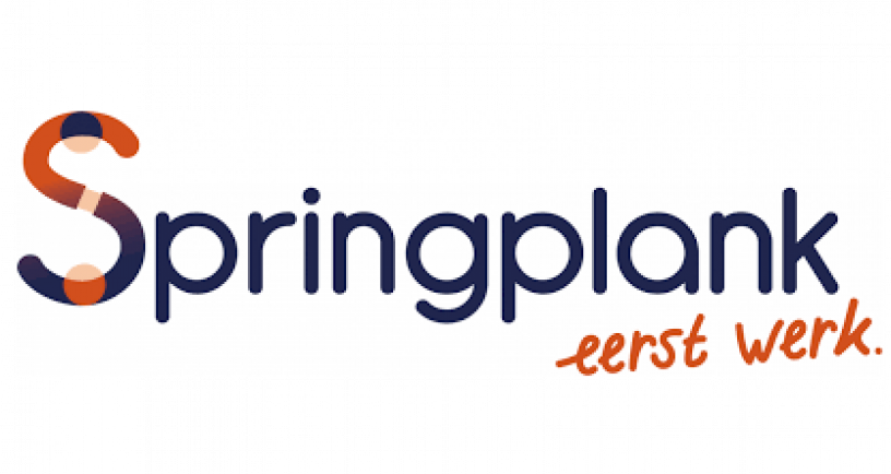 Springplank